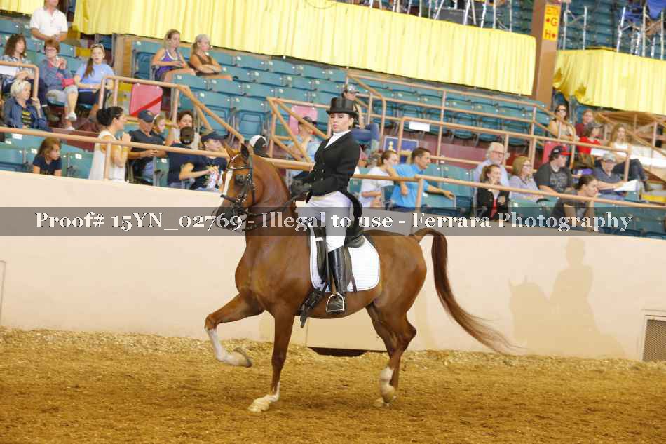 Proof 15YN_02769