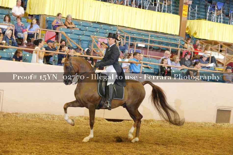 Proof 15YN_02770