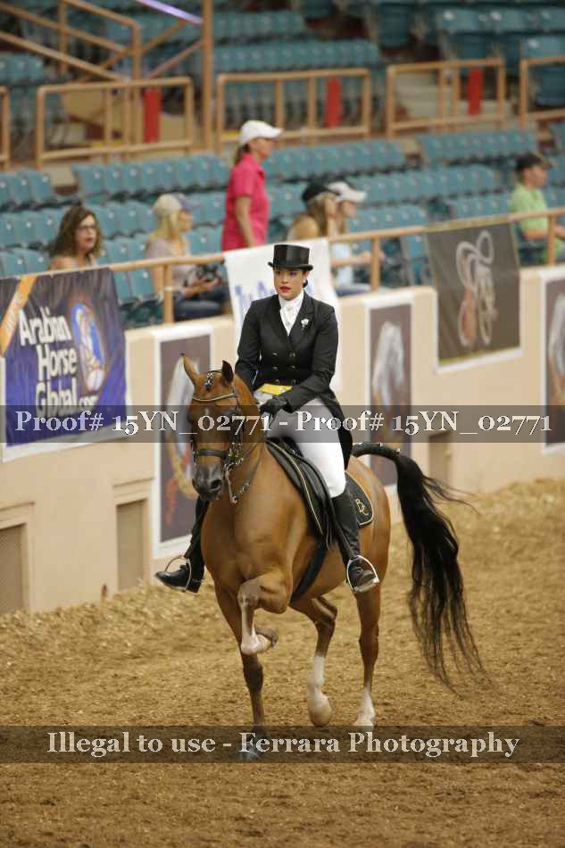 Proof 15YN_02771