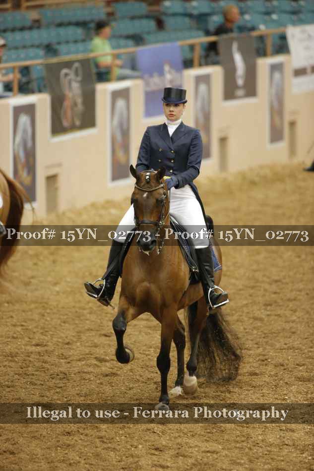 Proof 15YN_02773