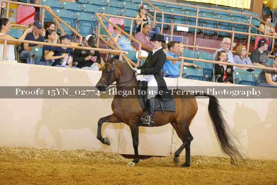 Proof 15YN_02774