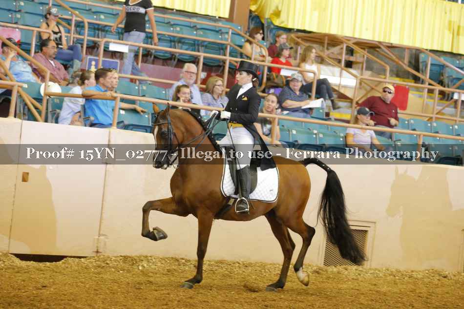 Proof 15YN_02777
