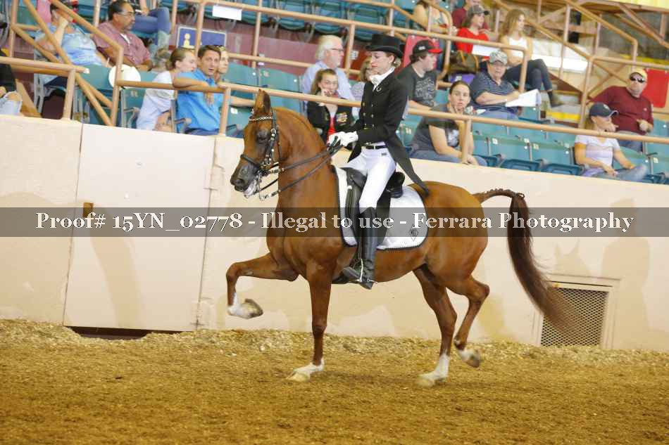 Proof 15YN_02778