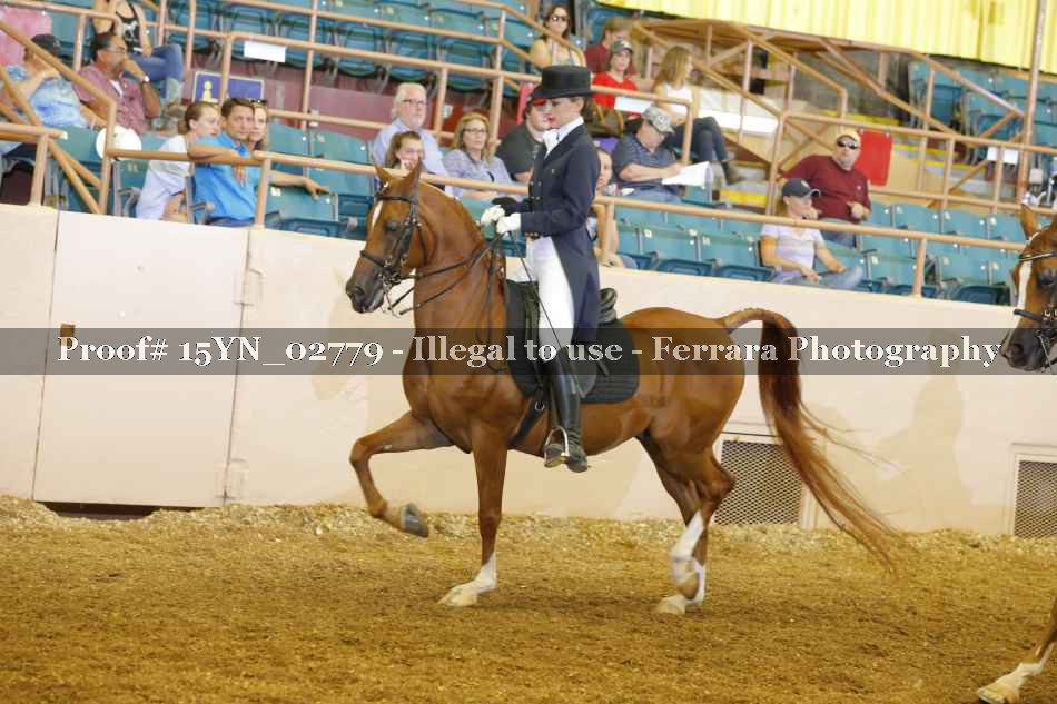 Proof 15YN_02779