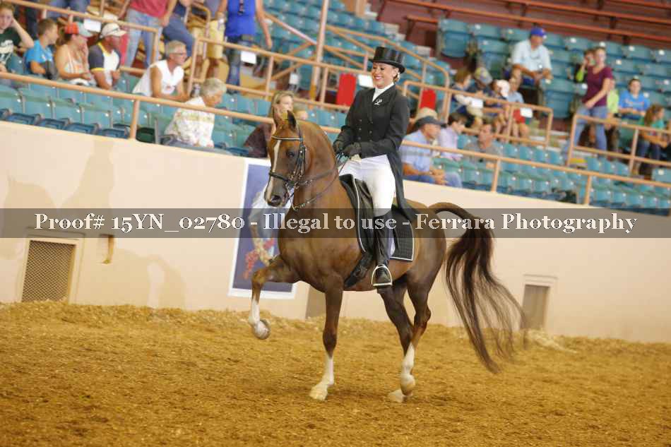Proof 15YN_02780