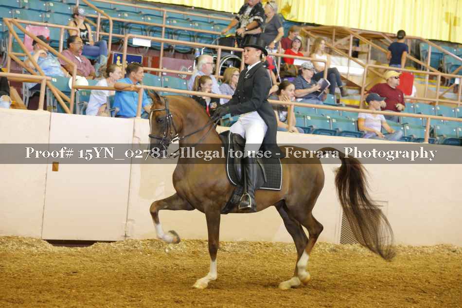 Proof 15YN_02781