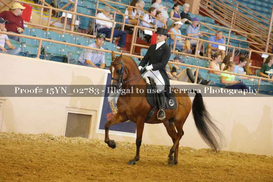 Proof 15YN_02783