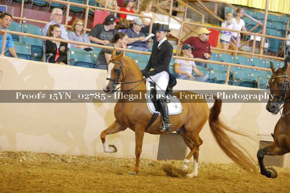 Proof 15YN_02785
