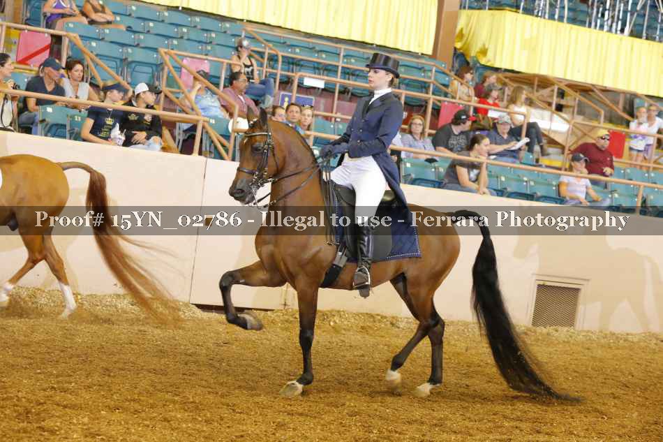 Proof 15YN_02786