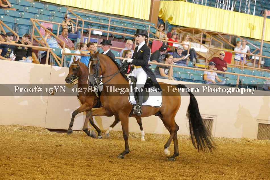 Proof 15YN_02788