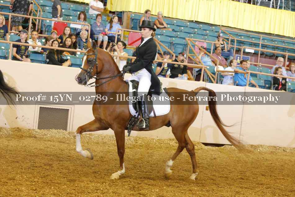 Proof 15YN_02789