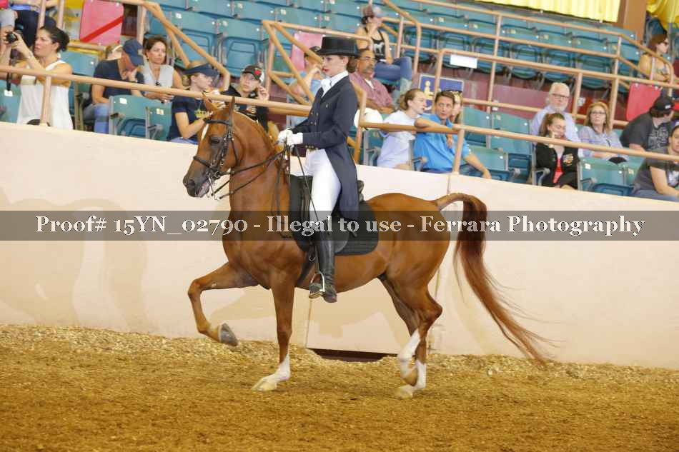 Proof 15YN_02790