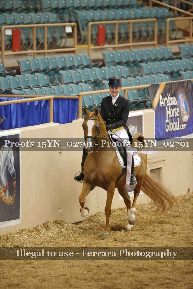 Proof 15YN_02791