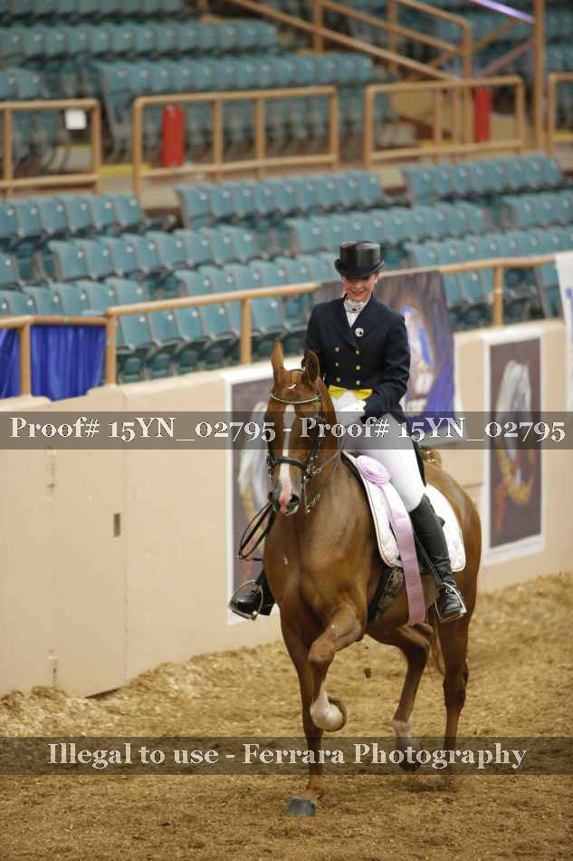 Proof 15YN_02795