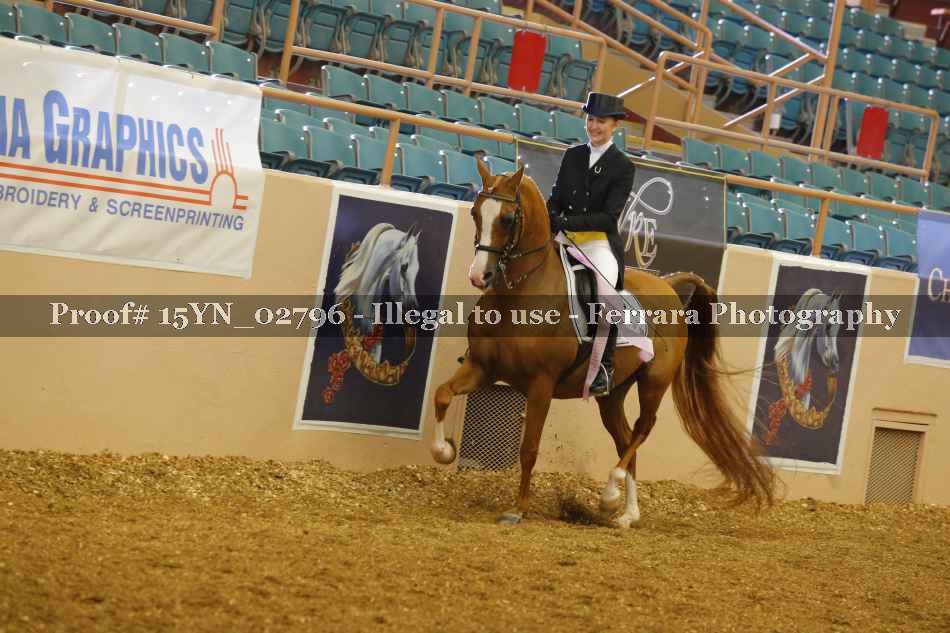 Proof 15YN_02796