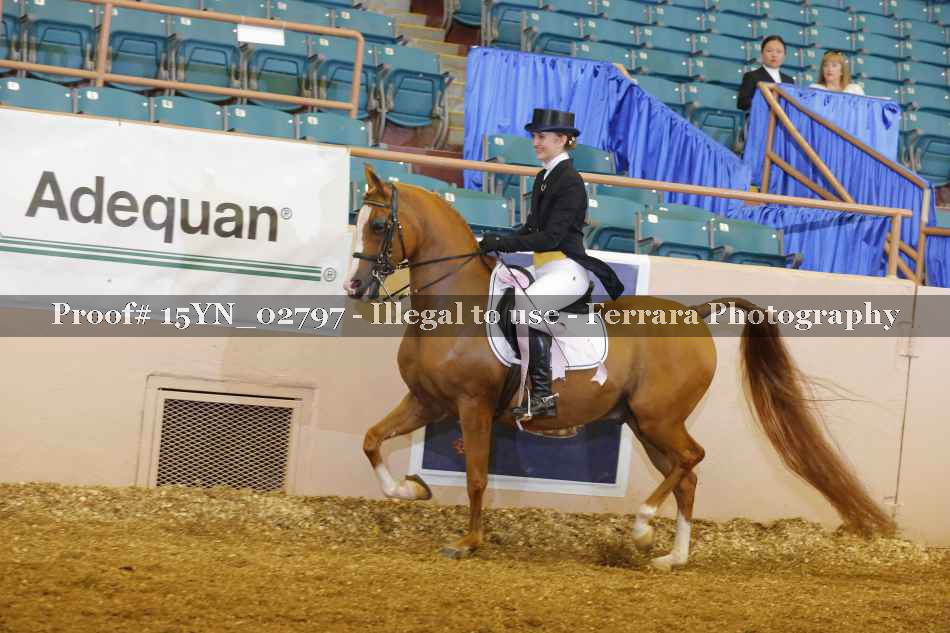 Proof 15YN_02797