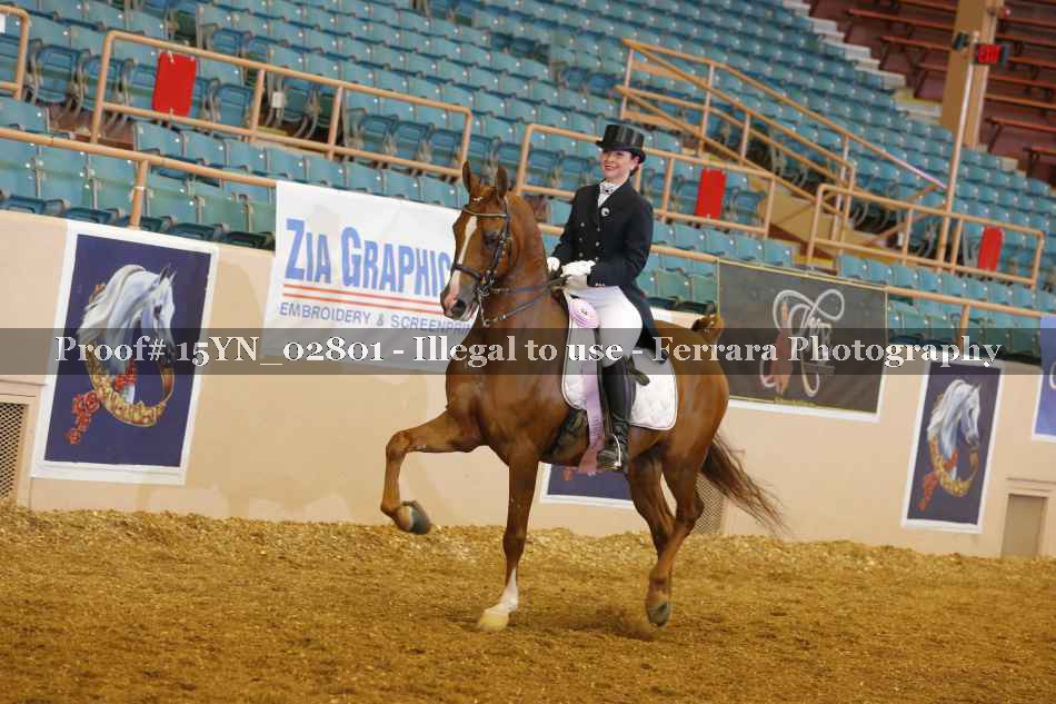 Proof 15YN_02801