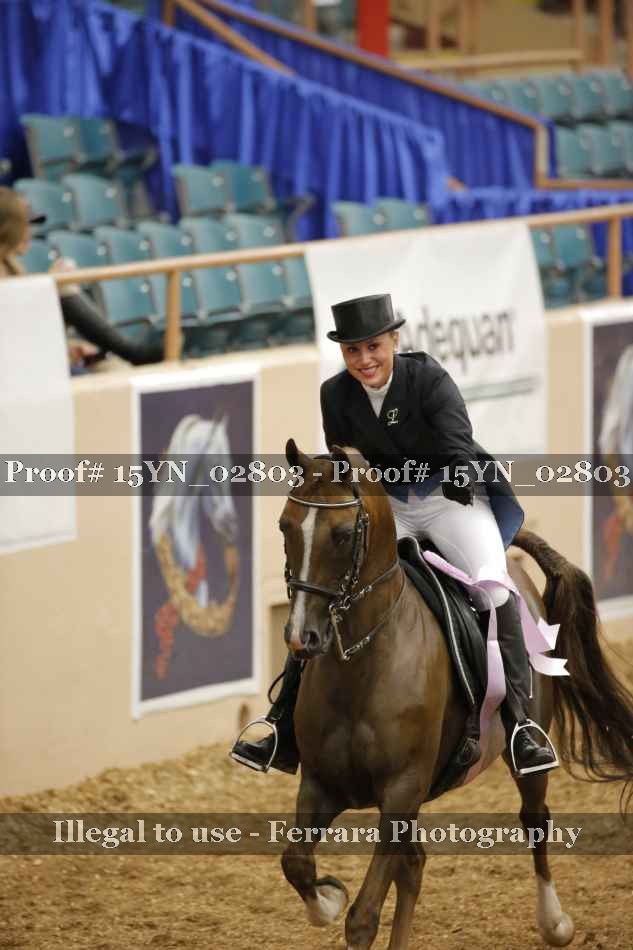 Proof 15YN_02803