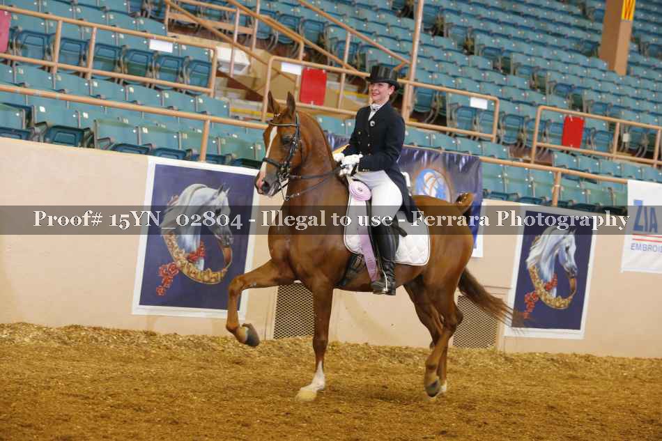 Proof 15YN_02804