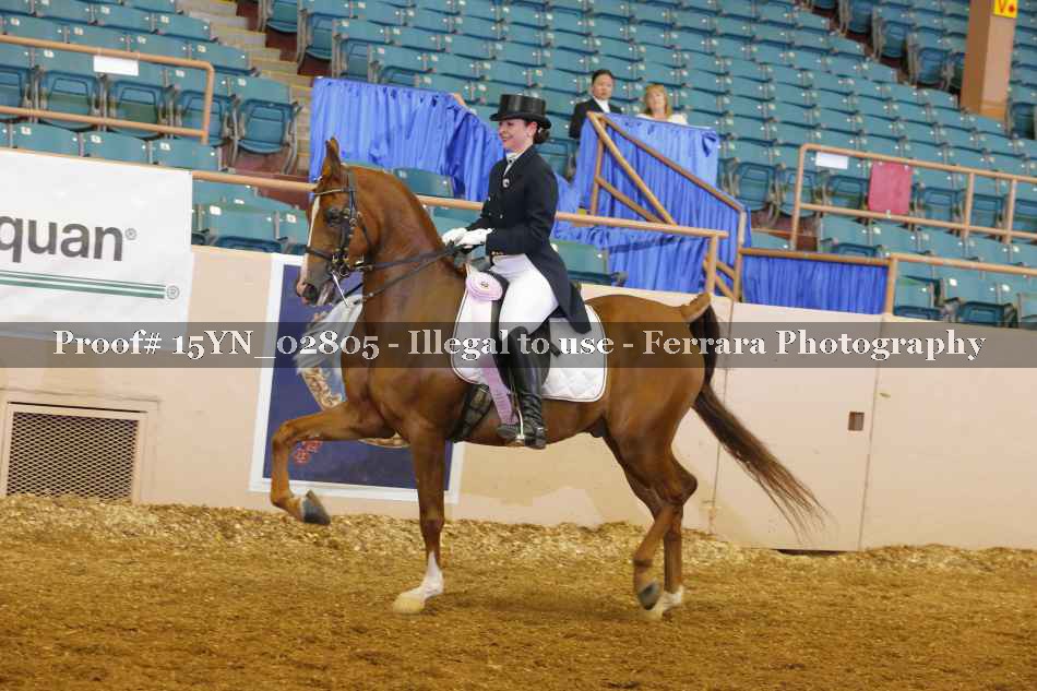 Proof 15YN_02805