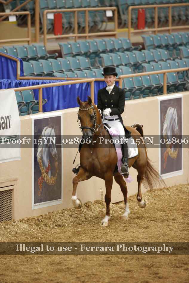 Proof 15YN_02806