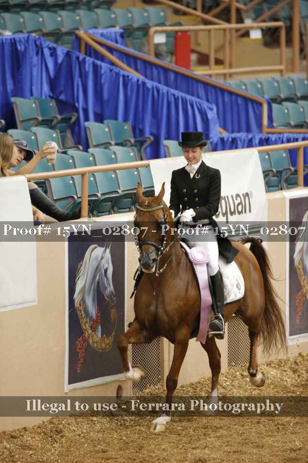 Proof 15YN_02807