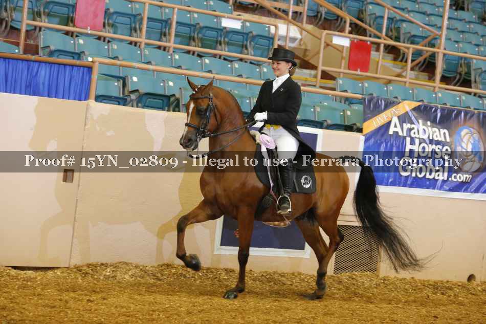 Proof 15YN_02809