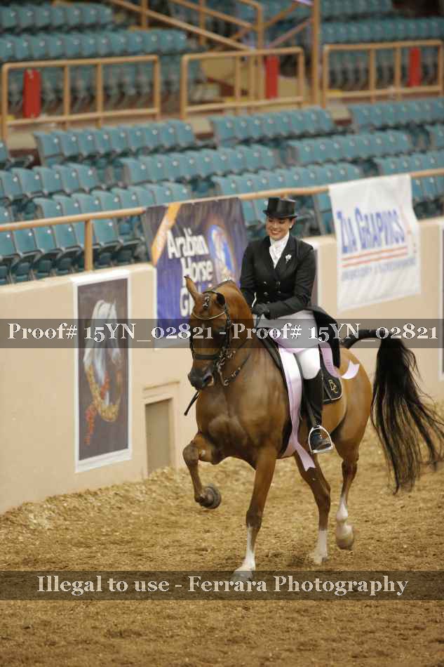 Proof 15YN_02821