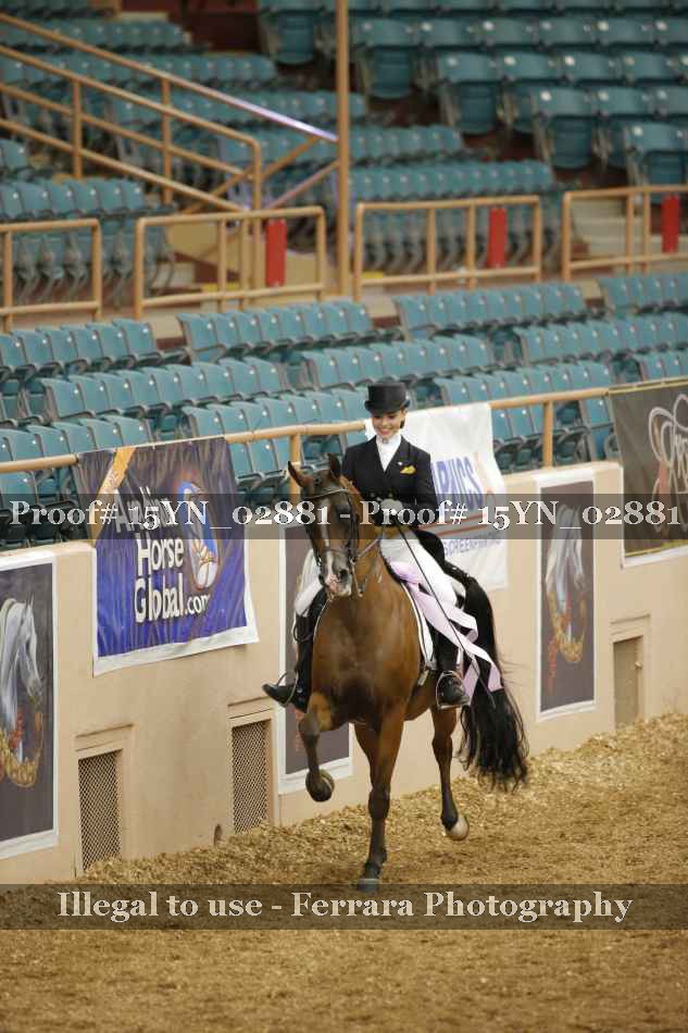 Proof 15YN_02881