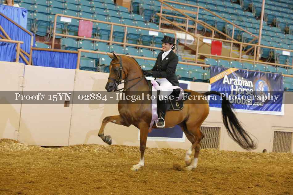 Proof 15YN_02884