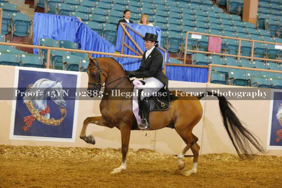 Proof 15YN_02885