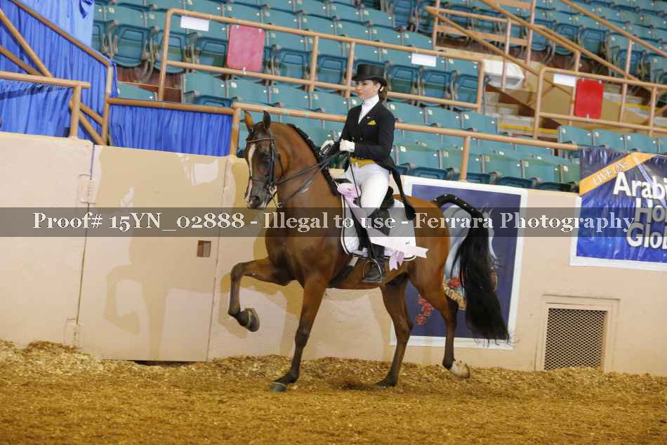 Proof 15YN_02888