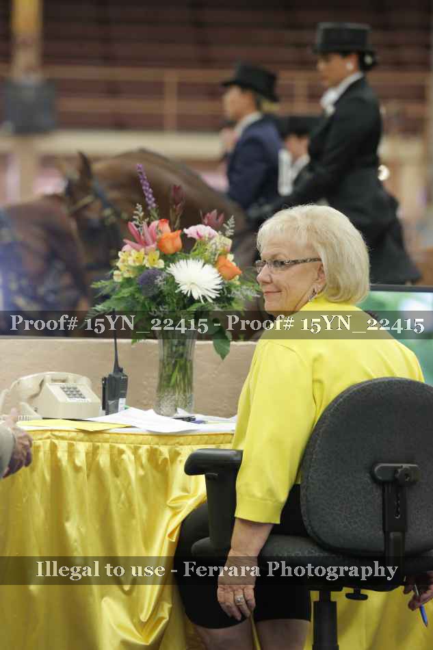 Proof 15YN_22415