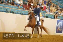15YN_11645 proof
