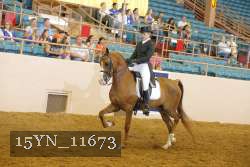 15YN_11673 proof