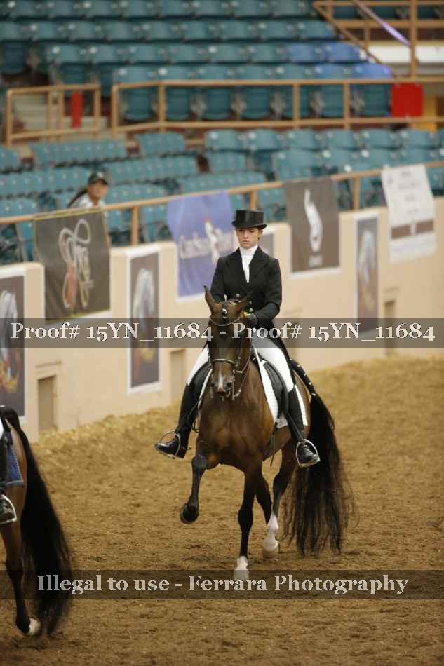 Proof 15YN_11684