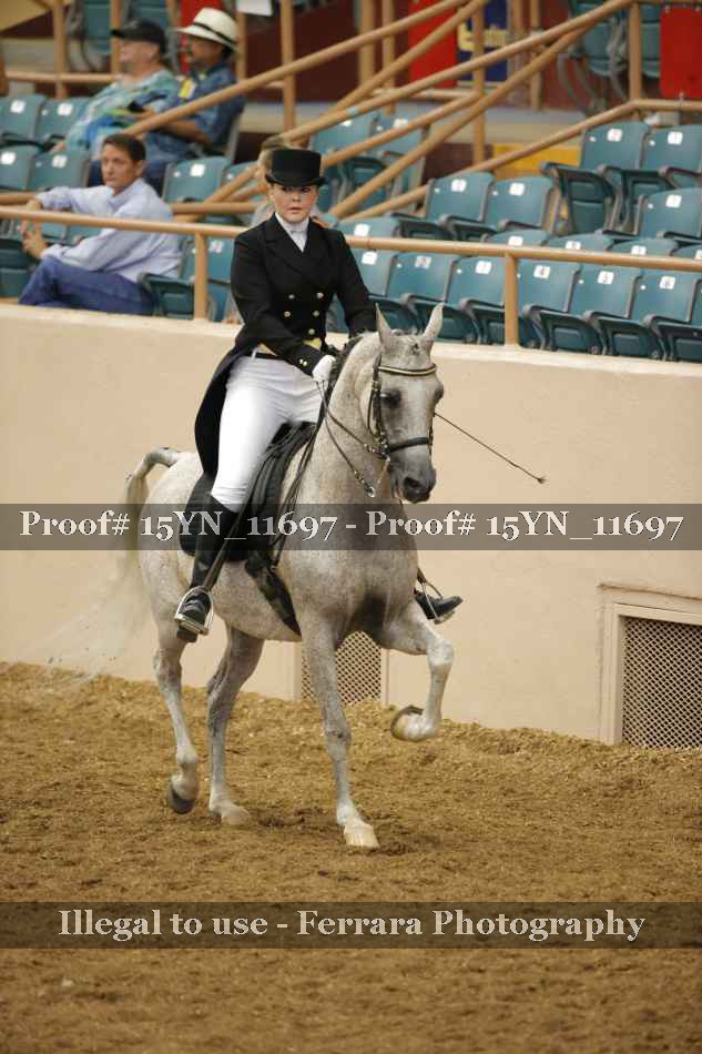 Proof 15YN_11697