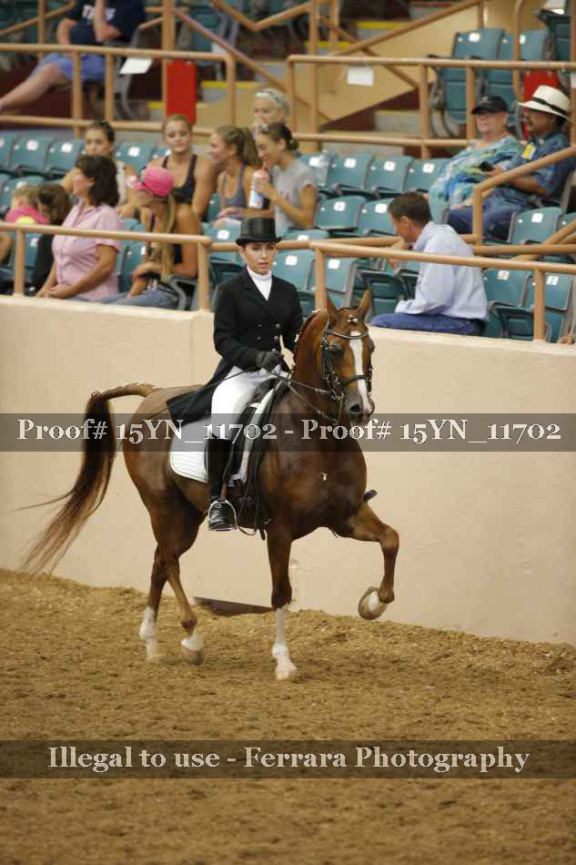 Proof 15YN_11702