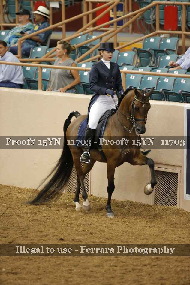 Proof 15YN_11703