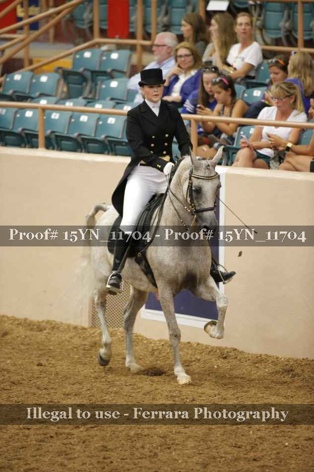 Proof 15YN_11704