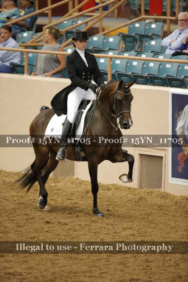 Proof 15YN_11705