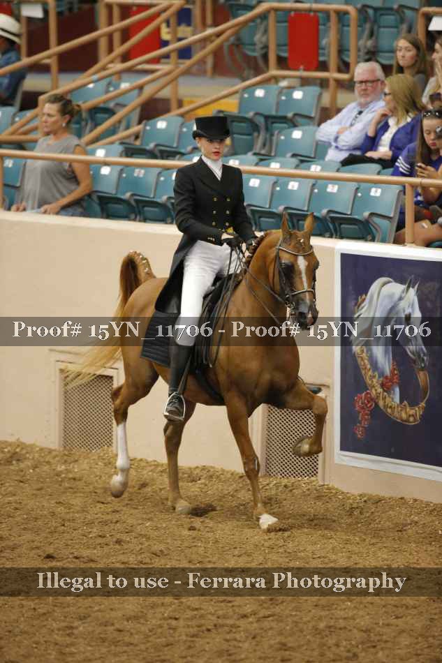 Proof 15YN_11706