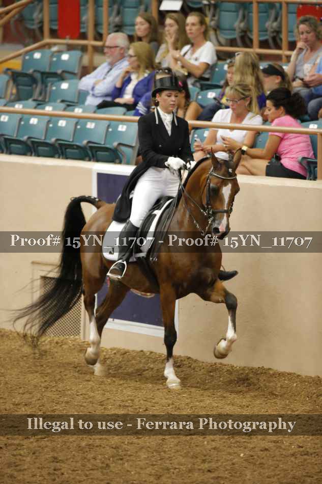 Proof 15YN_11707