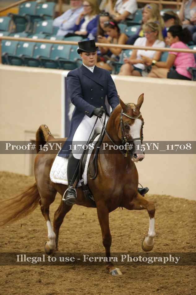 Proof 15YN_11708