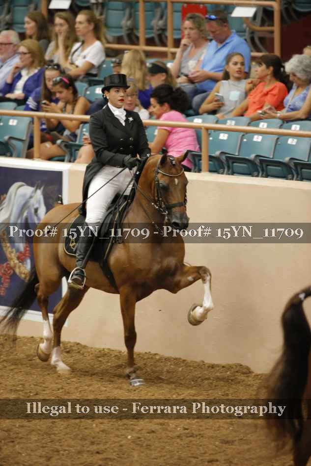Proof 15YN_11709