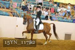 15YN_11782 proof