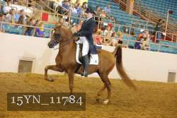 15YN_11784 proof