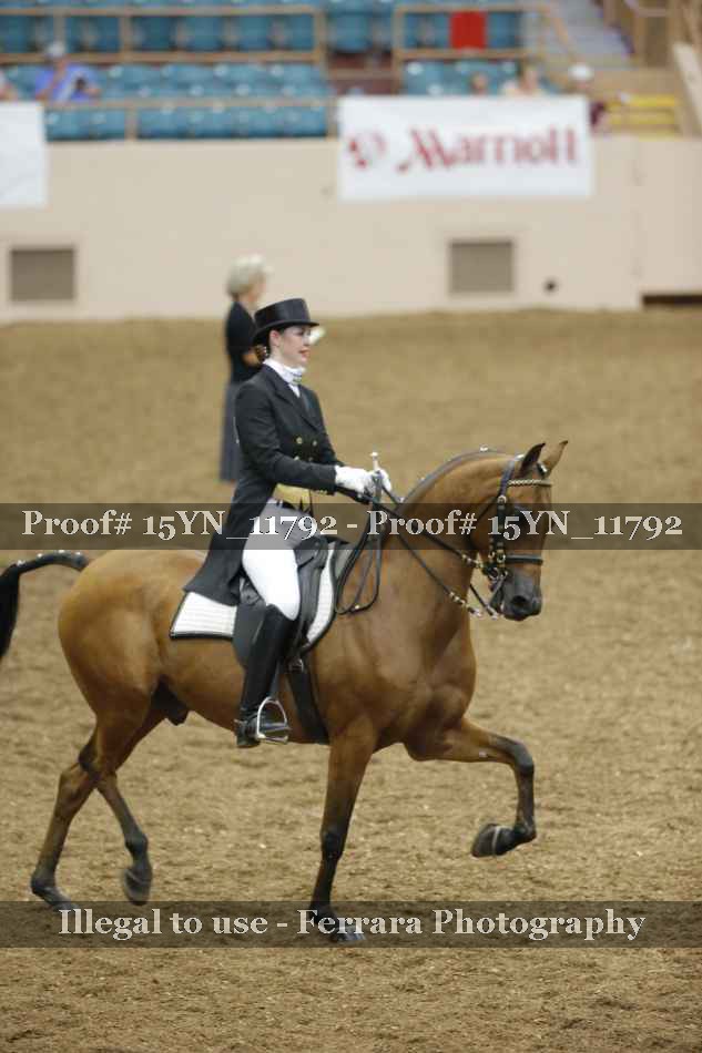 Proof 15YN_11792