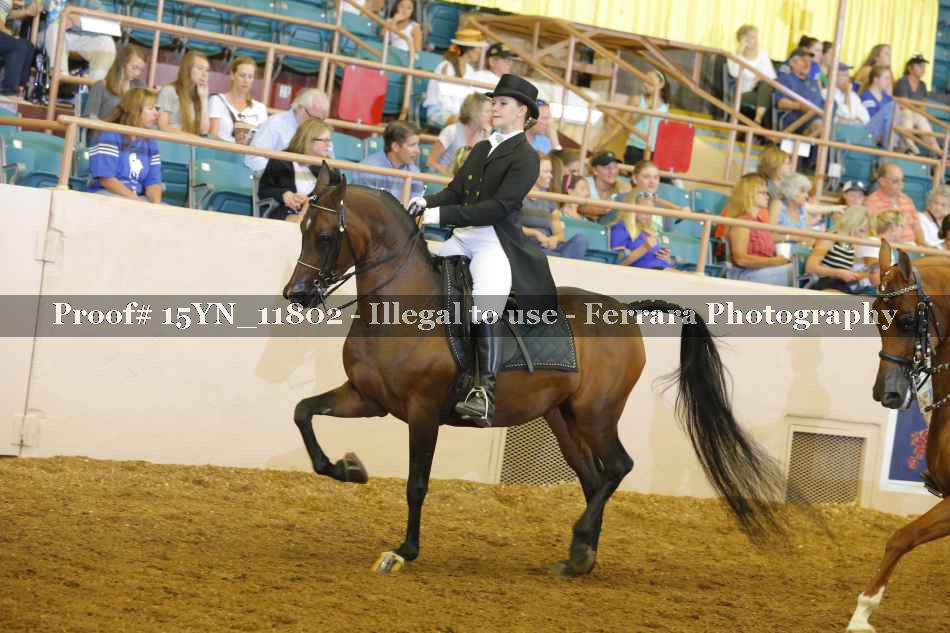 Proof 15YN_11802