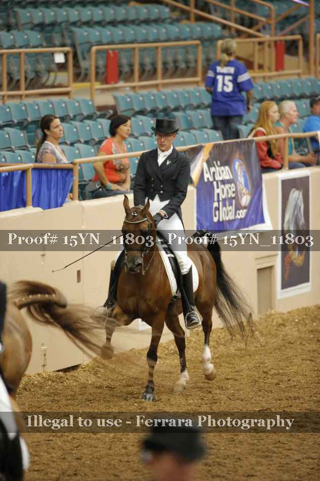 Proof 15YN_11803